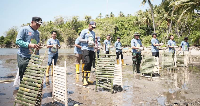 HIJAUKAN BUMI - Peringati Hari Menanam Pohon Indonesia 2024, Pertamina Patra Niaga Sulawei Gelar Penanaman Mangrove dan Coastal Cleanup di Pantai Desa Tongo, Bone Bolango. (Foto : dok / pertamina patra niaga sulawesi)
