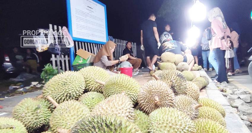 Musim durian pedagang berjejer di trotoar jalan Johm A. Katili exa jalan Andalas ramai di serbu pembeli, Sabtu (18/1). (F. Natha/ Gorontalo Post)