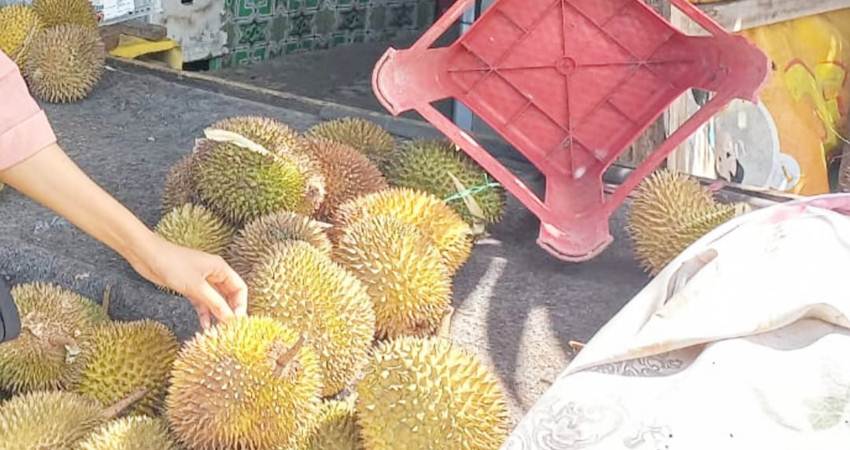 Pedagang durian yang ada di Kota Gorontalo.