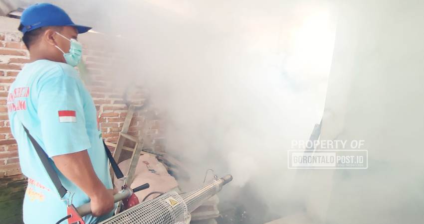 Salah satu petugas dari Dinas Kesehatan Bone Bolango melakukan fogging di salah satu rumah warga di Desa Lombongo, Kecamatan Suwawa Tengah, Bone Bolango. Sabtu(18/1). Foto: Natha/Gorontalo Post).