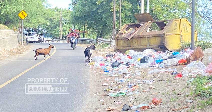 Sampah berserakan wilayah Kota Gorontalo yang sering dikeluhkan warga, Rabu (8/1/2025) (F. Diyanti/Wartawan Gorontalo Post)