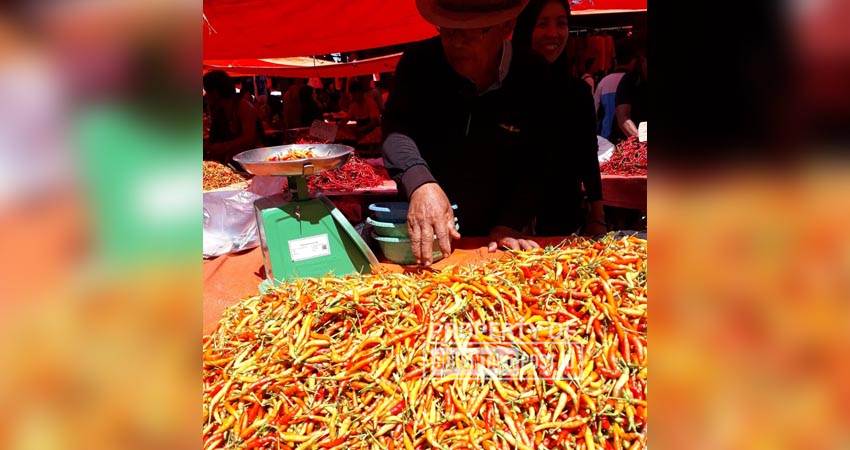 Salah seorang pedagang rica atau cabai rawit di pasar minggu Telaga Kabupaten Gorontalo. Pada Desember 2024 komoditi cabai rawit mengalami deflasi atau penurunan harga sebesar -1,72 persen.(Foto Lidya/GORONTALO POST)