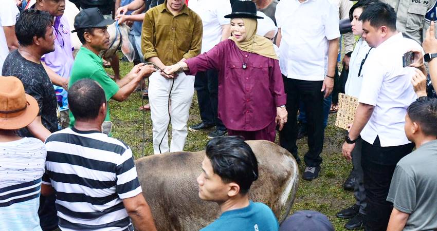 Wagub Idah Syahidah Rusli Habibie saat menyerahkan satu ekor sapi kepada juara umum pemenang lomba Karapan Sapi yang digelar dalam rangka Festival Ketupat, Rabu (9/4). (Foto – Mila/ Diskominfotik)