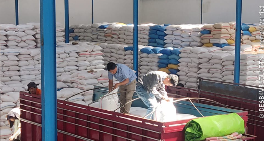 Harga Rp 5.500 per Kg, Serapan Jagung Bulog Gorontalo Terus Meningkat