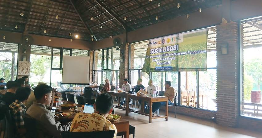 CADANGAN JAGUNG PEMERINTAH - Pelaksanaan sosialisasi penyerapan jagung petani oleh Bulog Gorontalo sebagai Cadangan Jagung Pemerintah, berlangsung di Saung Telaga, Kabupaten Gorontalo, Sabtu (17/5). (Foto : dok/gorontalopost)