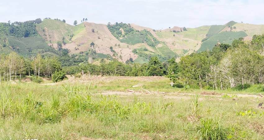 Contoh embung tertutup material sedimen karena erosi dari atas gunung yang gundul di wilayah Wonosari Kabupaten Boalemo