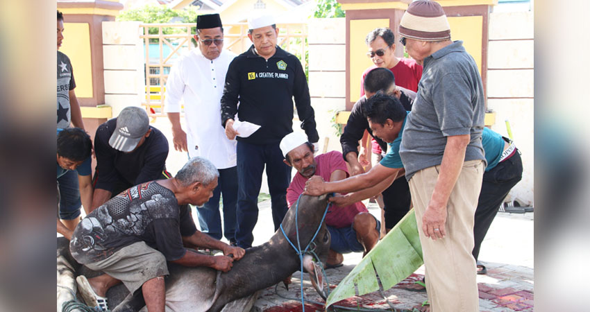 Proses penyembelihan hewan qurban di halaman kantor Kwarda Gorontalo, Sabtu (7/6). (Foto : dok/kwarda)