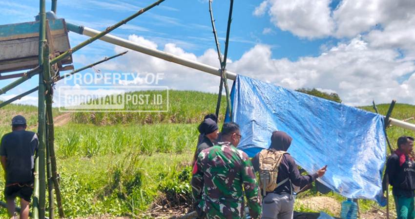 Lokasi PETI yang baru baru bersiap dioperasikan di perkebunan Tebu milik PT PG Gorontalo Desa Saripi Kecamatan Paguyaman Kabupaten Boalemo ditertibkan oleh pihak security perusahaan dan melibatkan aparat TNI Babinsa dua tiga hari yang lalu. (Foto: Roy/Gorontalo Post)