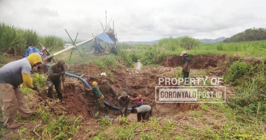 Lokasi PETI yang baru beroperasi di perkebunan Tebu milik PT Pabrik Gula Gorontalo Desa Saripi Kecamatan Paguyaman Kabupaten Boalemo. (Foto: Roy/Gorontalo Post)