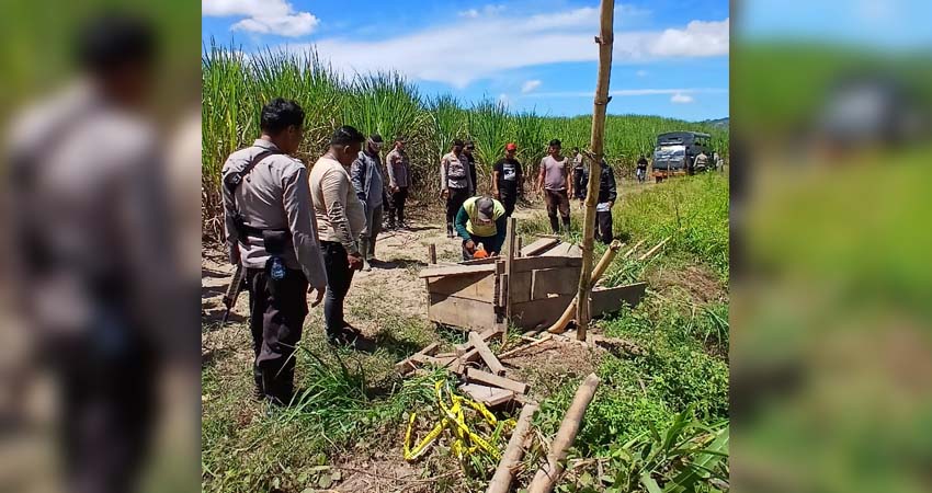 Salah satu alat dompleng di lokasi PETI yang ada di lahan HGU Pabrik Gula digergaji menggunakan mesin alat potong kayu berupa sensor.