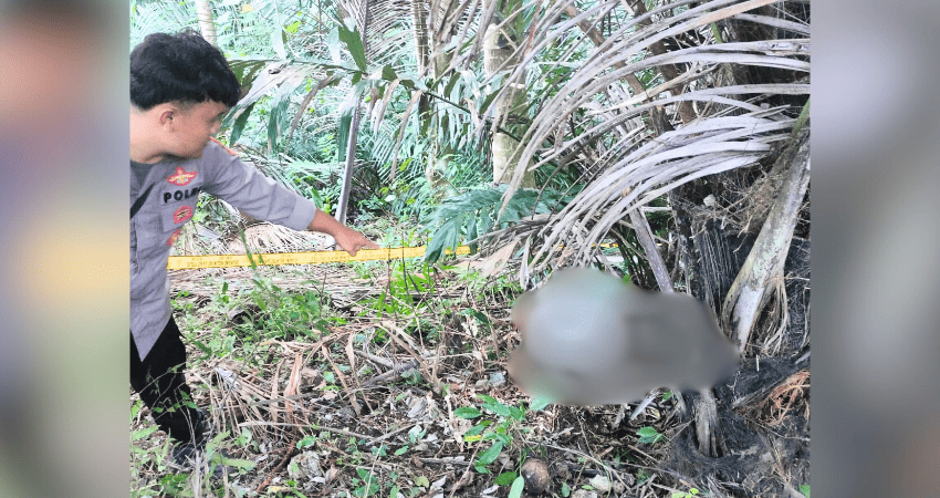 Warga Desa Daenaa Kecamatan Limboto Barat dihebohkan dengan penemuan mayat tanpa identitas, sabtu (2/8/2025),