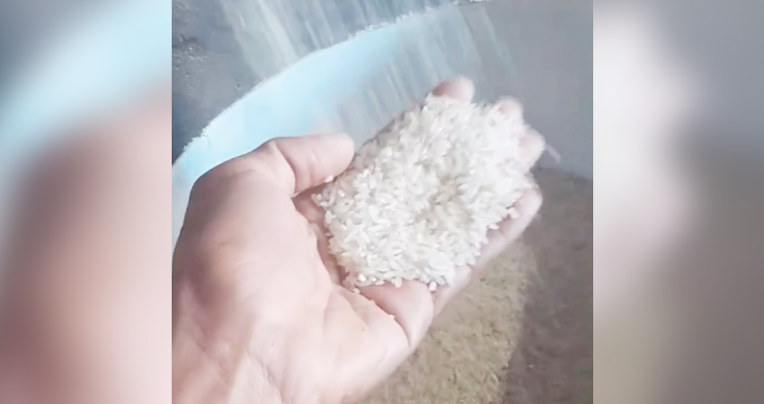 Beras yang diproduksi di salah satu gilingan padi.