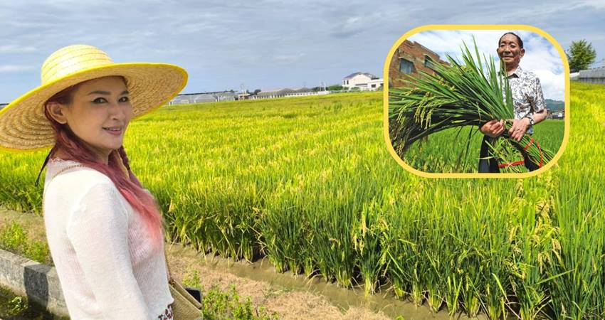 Bersama kawan mendatangi pusat riset benih padi Longping. Insert mendiang Prof Yuan Longping.--