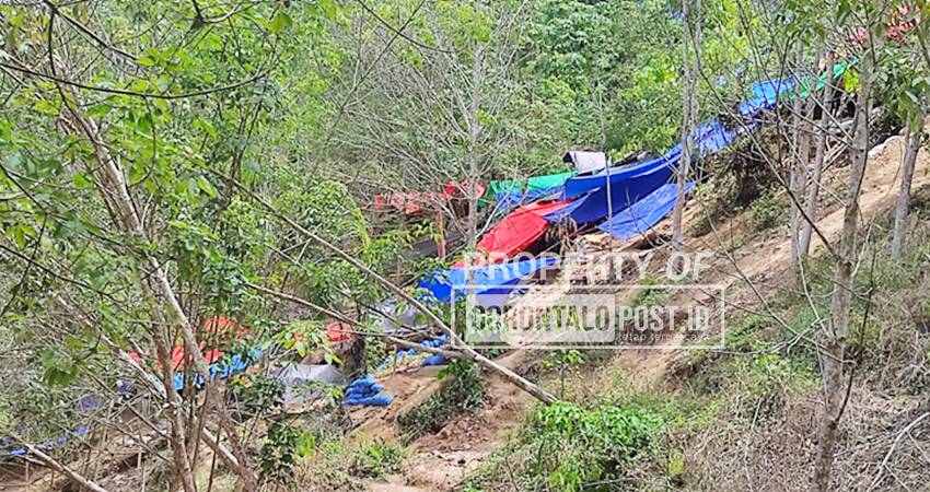 Pegunungan hutan karet Desa Batu Kramat, Kecamatan Paguyaman Boalemo, Gorontalo sudah dipenuhi dengan tenda pelaku PETI