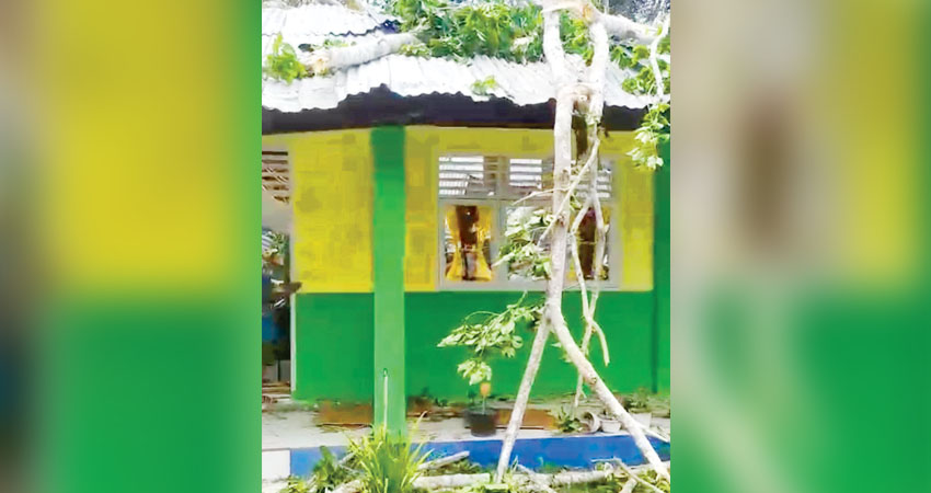 P0hon ambruk menimpa dua bangunan kelas di SMP Negeri 1 Tilango, 11 siswa sempat dilarikan ke Puskesmas, Senin (1/9). (foto : istimewa/tangkapan layar)