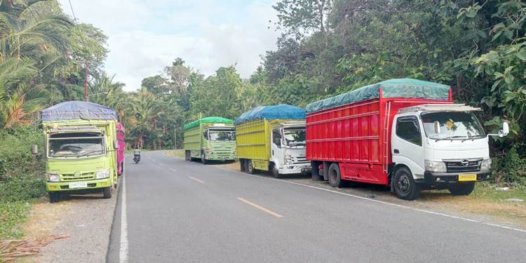 Sejumlah mobil truk bermuatan beras yang akan dikirim ke Goorntalo dicegat petugas gabungan di Kawasan Pelabuhan Pagimana, Sulteng. (Foto: Dok: Luwuk Post).