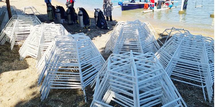 : Rangka baja teknik rehabilitasi terumbu karang yang menggunakan struktur rangka besi berbentuk seperti jarring laba-laba sebagai media transplantasi. Penanaman dilakukan pada tahun 2022 oleh Kelompok Studi Mahasiswa Biosfer (KSMB), Kelompok Penggerak Konservasi (KOMPAK) Barrier Reef Botutonuo, dan warga desa yang peduli pelestarian. (sumber foto: Prof. Femy Mahmud Sahami Kepala Pusat Kemaritiman LPPM UNG)