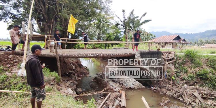 Kondisi jembatan mootilango yang sangat memprihatinkan hanya menggunakan batang kelapa pasca ambruk sejak pertengahan Agustus 2025 lalu. (Foto: Roy/Gorontalo Post).