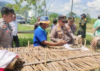 Kerangka yang ditemukan di Desa Tilote, Kecamatan Tilango, Kabupaten Gorontalo berjenis kelamin perempuan yang sudah dewasa.
