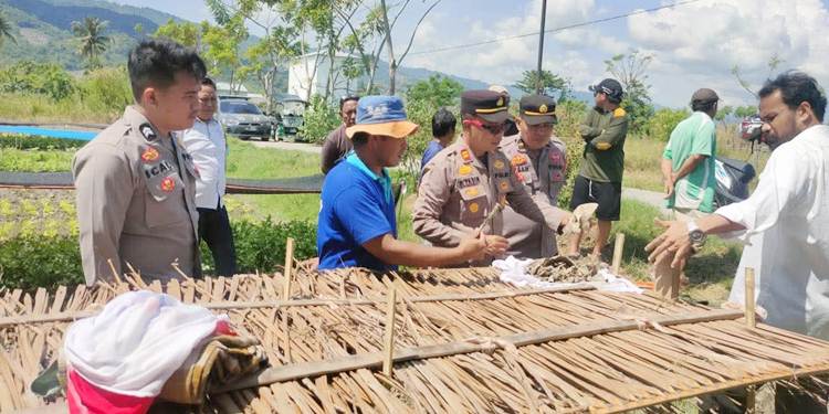 Kerangka yang ditemukan di Desa Tilote, Kecamatan Tilango, Kabupaten Gorontalo berjenis kelamin perempuan yang sudah dewasa.