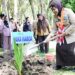 Wakil Gubernur Gorontalo Idah Syahidah Rusli Habibie, menanam pohon kelapa di kawasan Bumi Perkemahan Bongohulawa, usai pembukaan Perkemahan Antar Satuan Karya (Peran Saka) tingkat nasional, Senin (3/11). (foto: dok/diskominfotik)