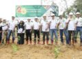 BJA Group Tanam Pohon Gamal ke-20 Juta, Wujudkan Komitmen Industri Wood Pellet Indonesia Bebas Deforestasi dan Berkelanjutan
