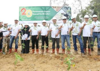 BJA Group Tanam Pohon Gamal ke-20 Juta, Wujudkan Komitmen Industri Wood Pellet Indonesia Bebas Deforestasi dan Berkelanjutan