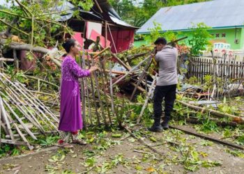 Satu rumah di Desa Modelomo, Kecamatan Kabila Bone, Kabupaten Bone Bolango mengalami kerusakan akibat tertimpa pohon.
