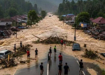 WALHI Sumut Sebut Tujuh Perusahaan Biang Keladi Bencana Ekologis di Tapanuli 