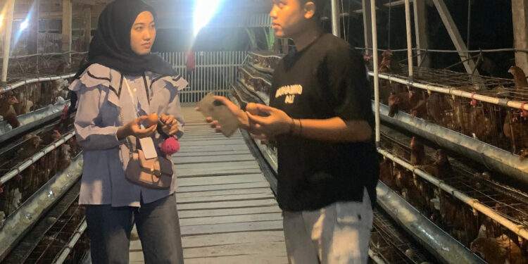 Dari Ternak Lele ke Ayam Petelur, Pemuda Ini Raih Omset Puluhan Juta