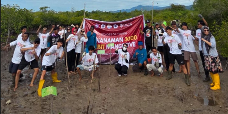 Echoes of Tomini: BEM UNG Tanam 3.000 Bibit Mangrove di Desa Torosiaje