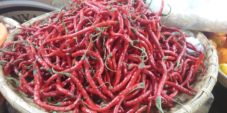 Harga Cabai Fluktuatif, Pedagang Pasar Sentral Gorontalo Andalkan Stok Besar dan Jaringan Petani