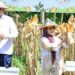 Gubernur Gusnar Ismail bersama Wagub Idah Syahidah Rusli Habibie saat meresmikan panen raya jagung serentak di Desa Tunggulo Selatan, Kecamatan Tilongkabila, Kabupaten Bone Bolango, Kamis (8/1). (Foto : Mila-Diskominfotik)