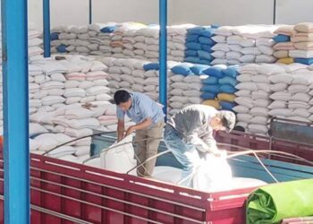 GUDANG BULOG - Aktivitas penampungan jagung di gudang tambahan milik Bulog Gorontalo di Desa Tinelo, Kecamatan Talaga Biru, yang terus berlangsung. Bulog terus menyerap gabah dan jagung pipil kering petani. (foto : dok / bulog gorontalo)