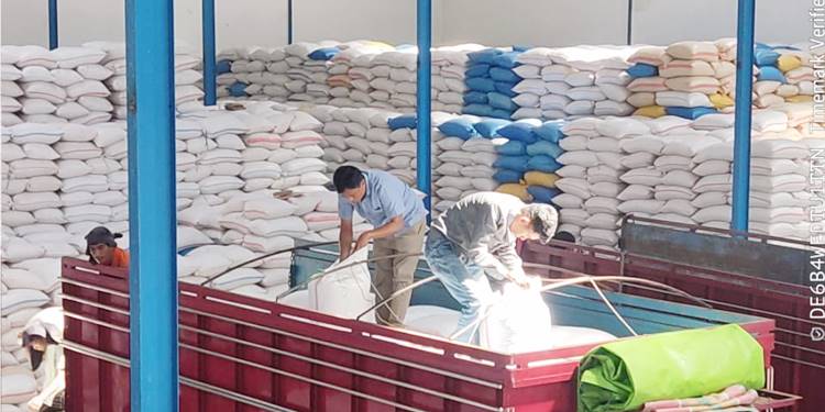 GUDANG BULOG - Aktivitas penampungan jagung di gudang tambahan milik Bulog Gorontalo di Desa Tinelo, Kecamatan Talaga Biru, yang terus berlangsung. Bulog terus menyerap gabah dan jagung pipil kering petani. (foto : dok / bulog gorontalo)