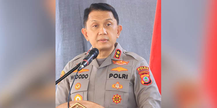 Irjen Pol. Drs. Widodo, S.H., M.H