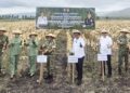 Panen raya jagung di lokasi Yonif TP 824/MO’E’A dihadiri Pangdam XIII Merdeka Mayjen TNI Mirza Agus dan Gubernur Gorontalo yang diwakili Sekdaprov Sofian Ibrahim, Kamis (22/1/2025). (Foto : dok/adc-Sekdaprov)