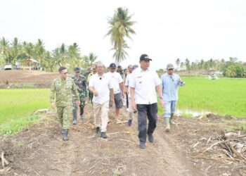 CETAK SAWAH: Gubernur Gorontalo Gusnar Ismail saat meninjau proyek cetak sawah di Kecamatan Randangan, Kabupaten Pohuwato, Kamis (26/2). (foto: mila/diskominfotik)