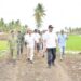 CETAK SAWAH: Gubernur Gorontalo Gusnar Ismail saat meninjau proyek cetak sawah di Kecamatan Randangan, Kabupaten Pohuwato, Kamis (26/2). (foto: mila/diskominfotik)