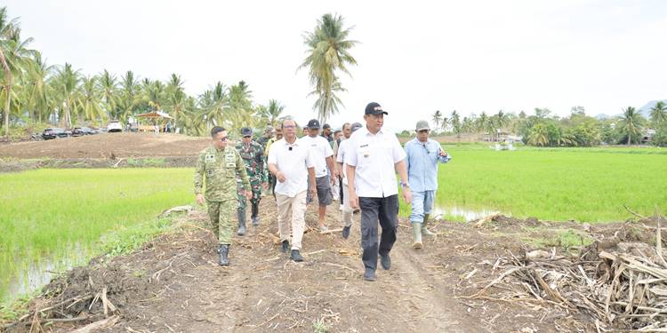 CETAK SAWAH: Gubernur Gorontalo Gusnar Ismail saat meninjau proyek cetak sawah di Kecamatan Randangan, Kabupaten Pohuwato, Kamis (26/2). (foto: mila/diskominfotik)