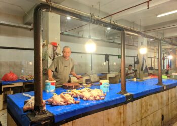 Menjelang Ramadan di Gorontalo, Harga Ayam ‘Terbang’