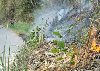 Petugas Damkar melakukan upaya pemadaman dengan menyemprotkan air, agar api tidak menjalar lebih melebar di Desa Lombongo, Kecamatan Suwawa Tengah, Bone Bolango, Sabtu (28/3). (F. Natharahman/ Gorontalo Post)