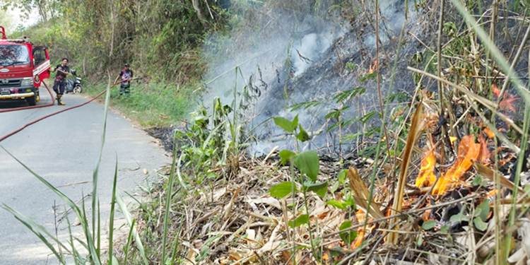 Petugas Damkar melakukan upaya pemadaman dengan menyemprotkan air, agar api tidak menjalar lebih melebar di Desa Lombongo, Kecamatan Suwawa Tengah, Bone Bolango, Sabtu (28/3). (F. Natharahman/ Gorontalo Post)