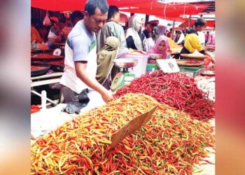 Salah satu pedagang rica di pasar tradisional di Gorontalo. Harga rica saat ini mengalami lonjakan pasca lebaran. (foto: dok- gorontalo post)