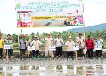 Wagub Idah Syahidah RH Tanam Padi Program Cetak Sawah Rakyat di Randangan, Mendukung Ketahanan Pangan Nasional