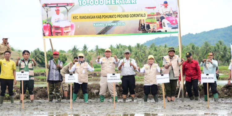 Wagub Idah Syahidah RH Tanam Padi Program Cetak Sawah Rakyat di Randangan, Mendukung Ketahanan Pangan Nasional
