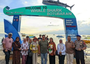 Wamentrans Dorong Wisata Hiu Paus Botubarani Jadi Destinasi Dunia