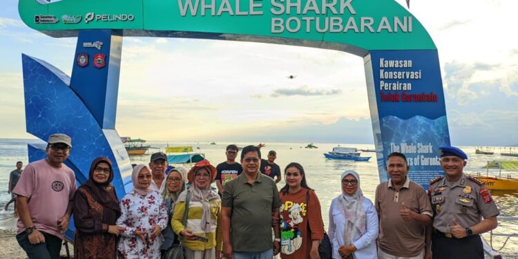 Wamentrans Dorong Wisata Hiu Paus Botubarani Jadi Destinasi Dunia
