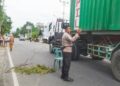 Personel Polsek Limboto Barat saat melakukan pengamanan di Jalan Trans Sulawesi, ketika dilakukan penebangan pohon.