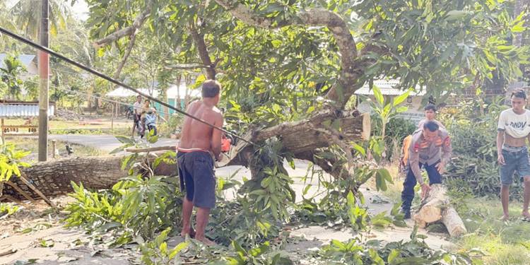 Personel Satuan Brimob Polda Gorontalo bergerak cepat membantu masyarakat mengevakuasi pohon tumbang yang menghalangi jalan raya di Desa Datahu, Kecamatan Tibawa, Kabupaten Gorontalo. Kamis (09/04).